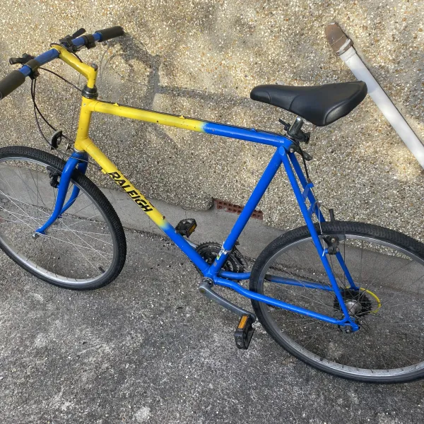 90s Raleigh