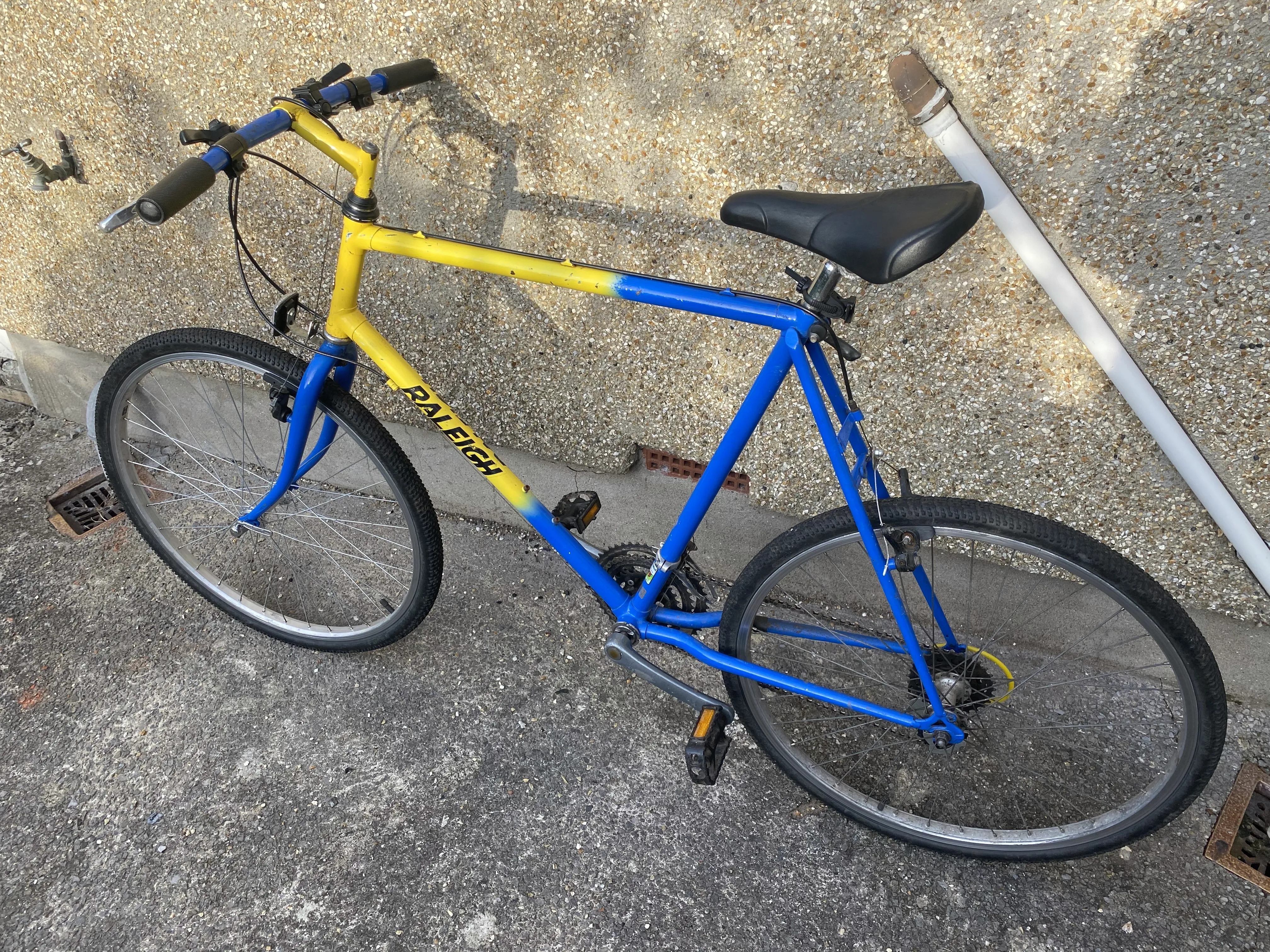 90s Raleigh
