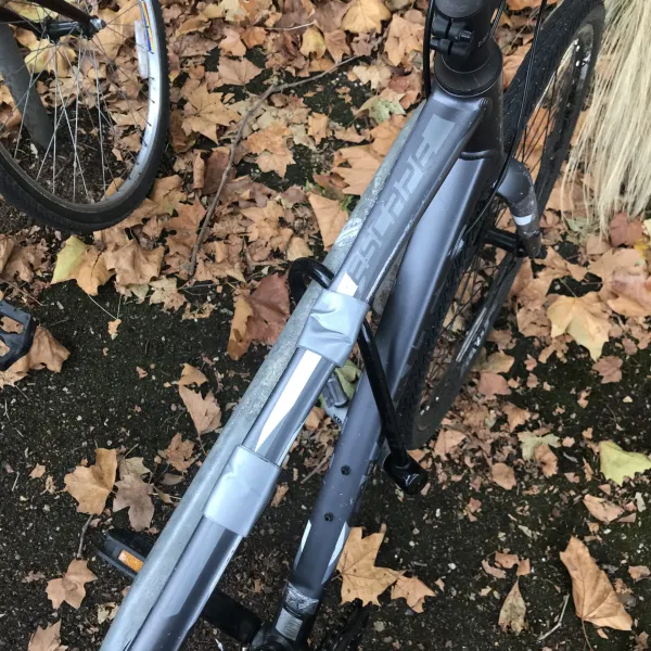 Attempted Theft