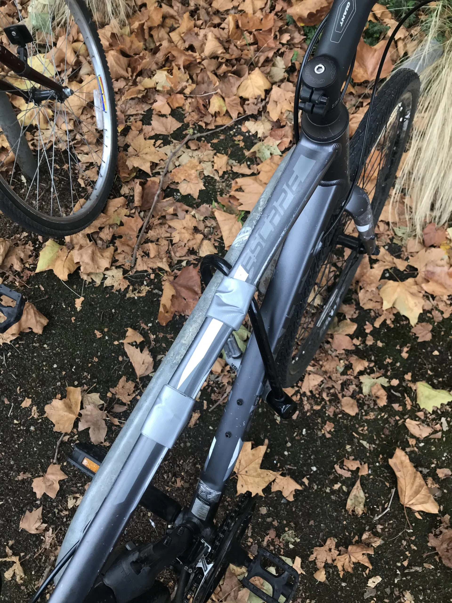 Attempted Theft