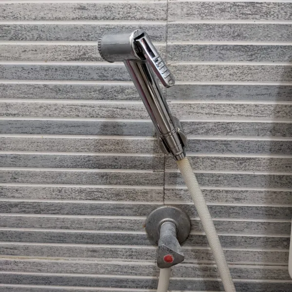 Bathroom jet