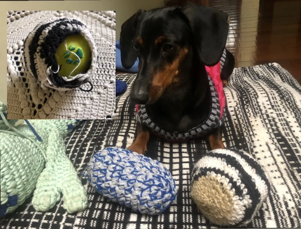 Bolinha