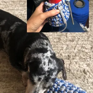 Brinquedo dos Cachorros