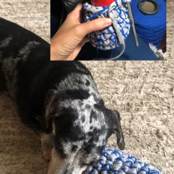 Brinquedo dos Cachorros