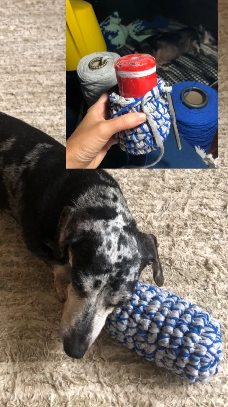 Brinquedo dos Cachorros