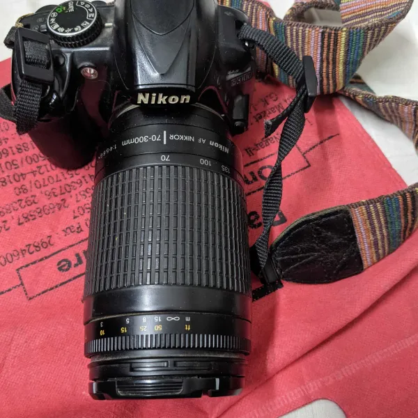 Camera battery