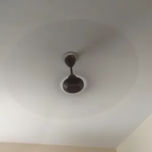 Ceiling fan