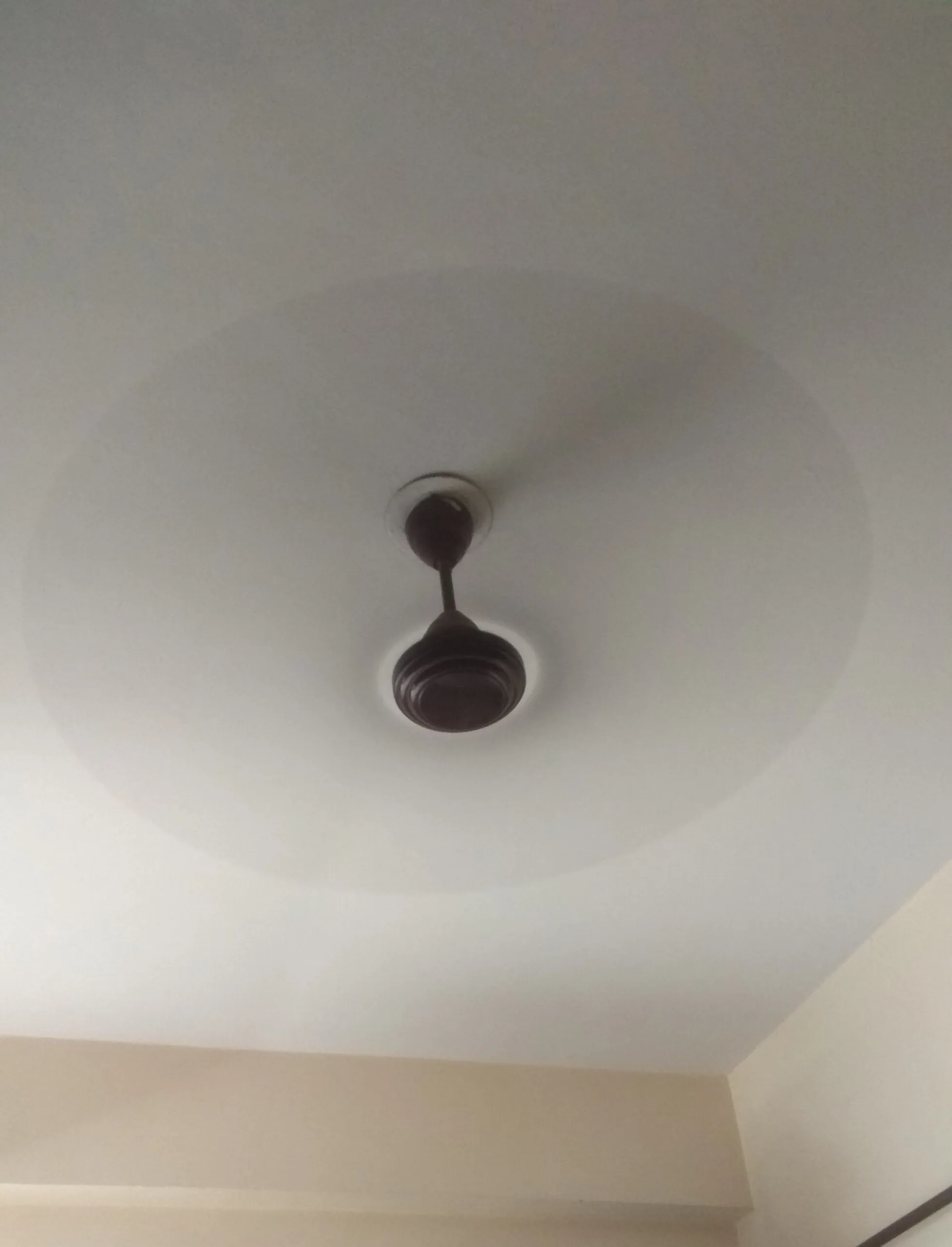 Ceiling fan