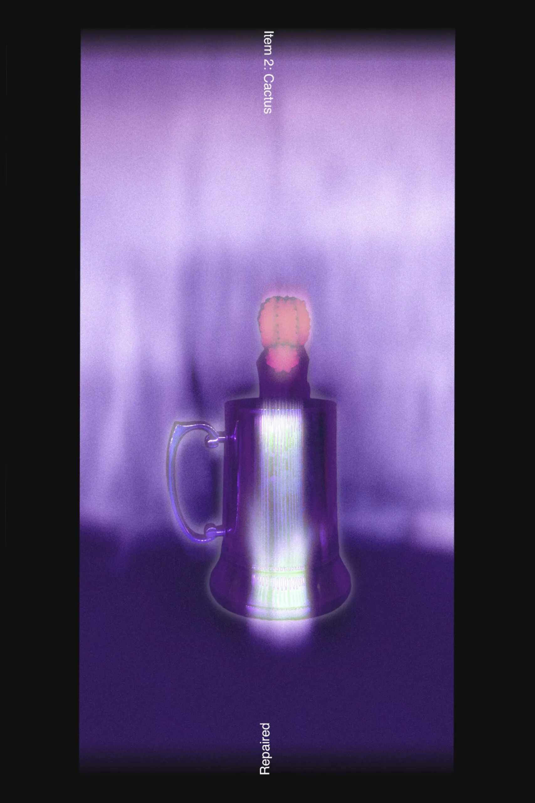 Cup Cactus