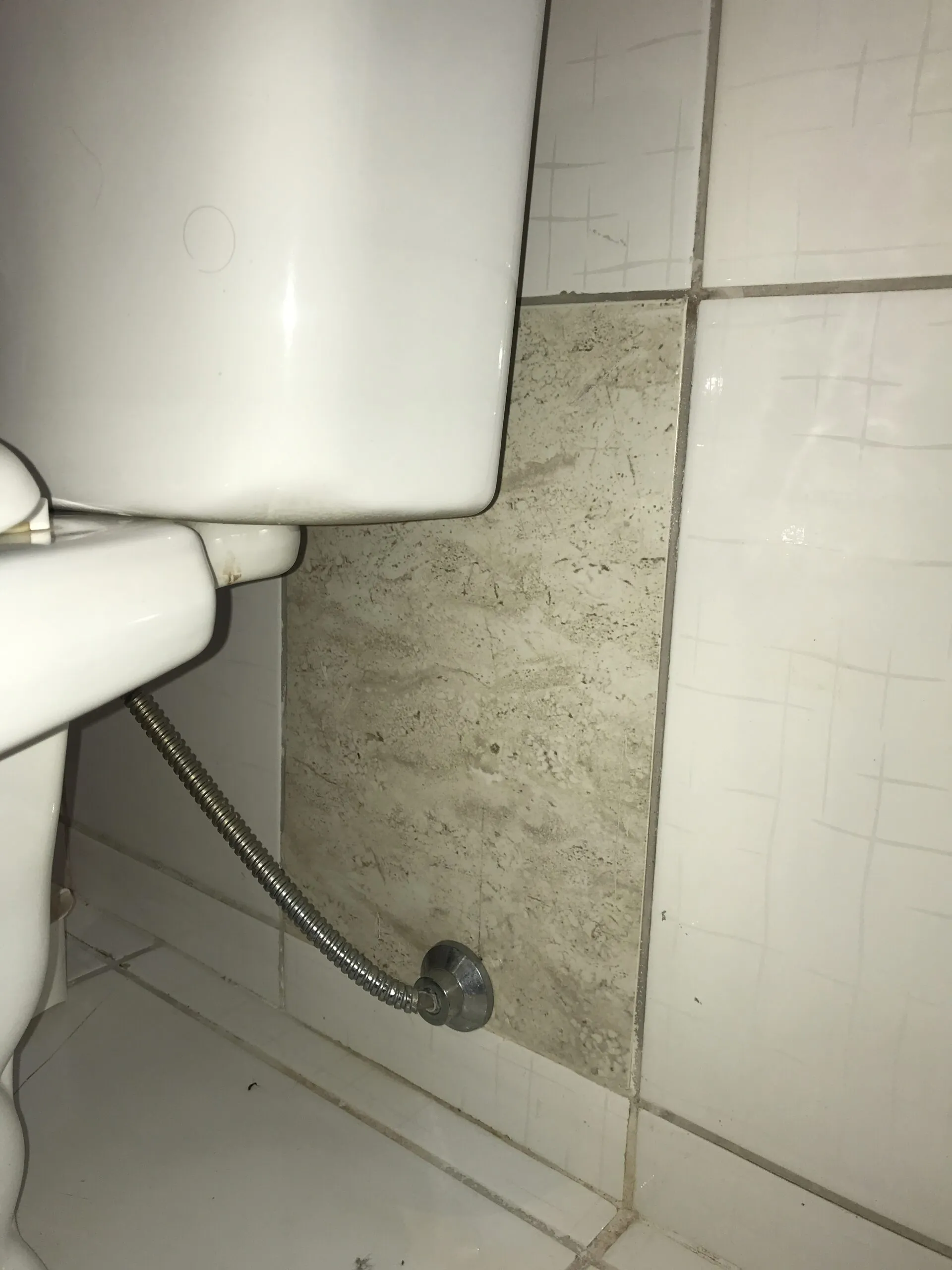 Distinct tile