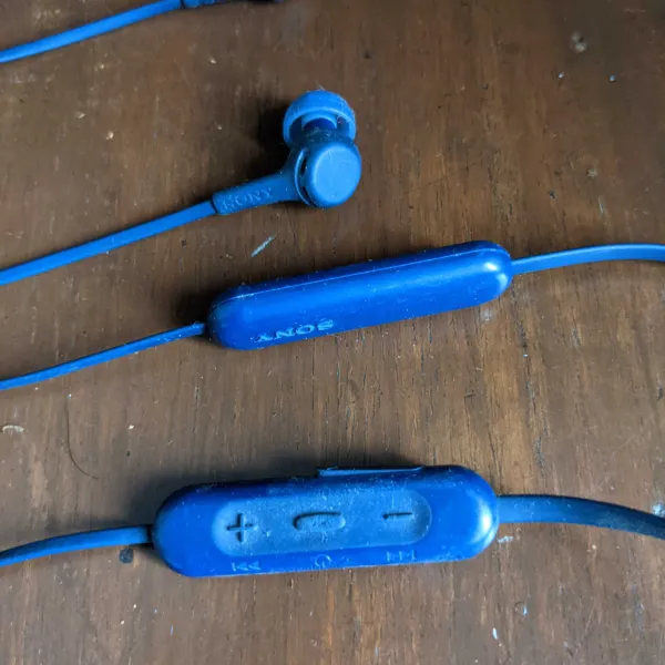 Earphones