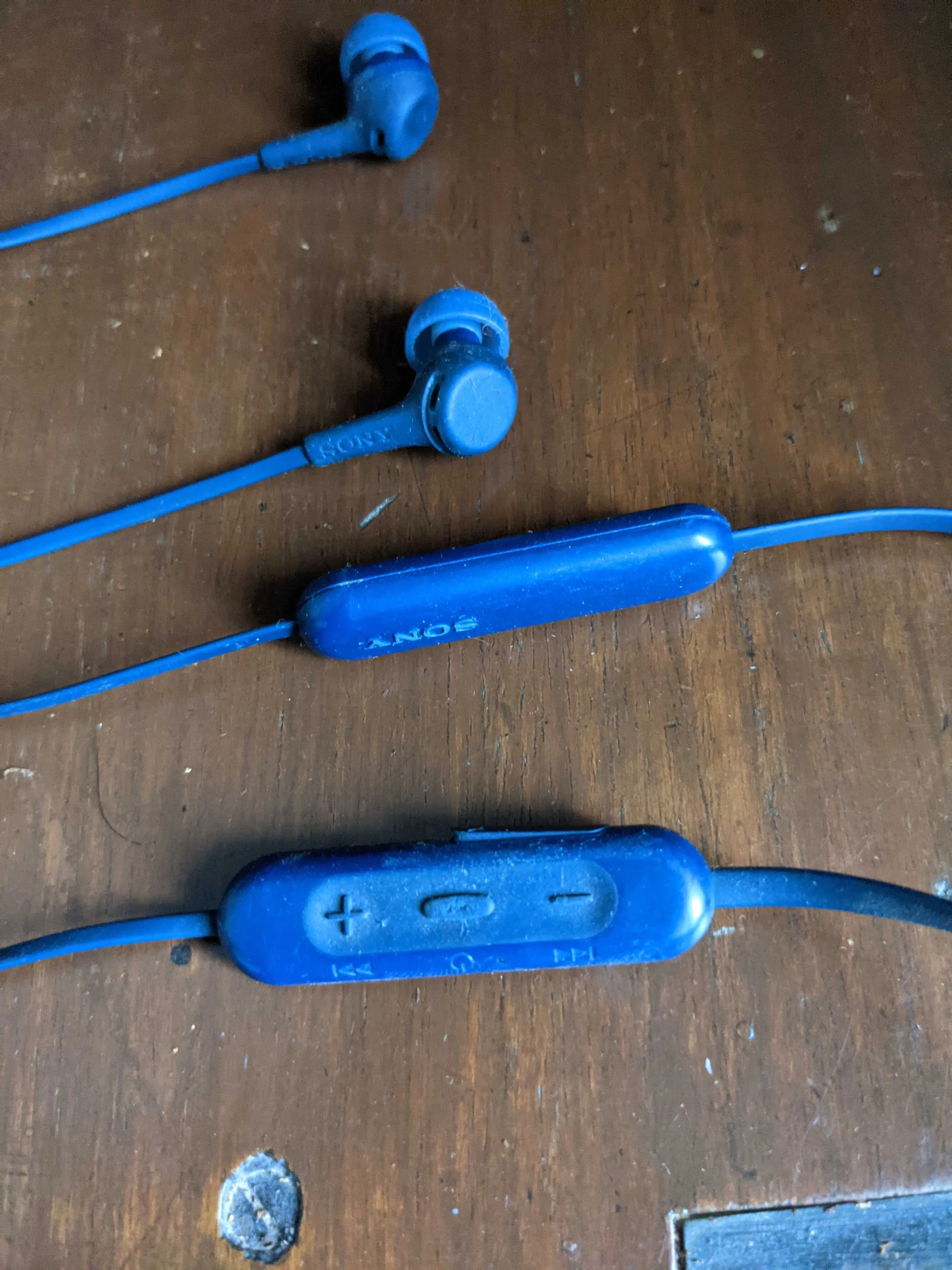 Earphones