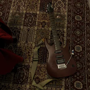Electric Guitar