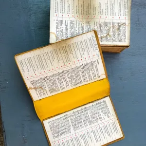 English-German dictionary