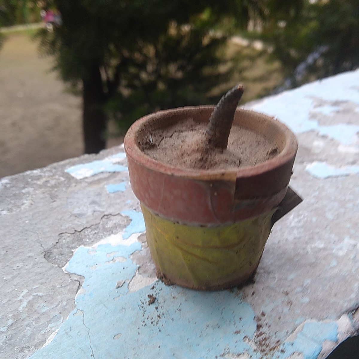 Flower pot