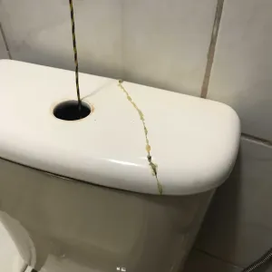 Gambiological toilet flush