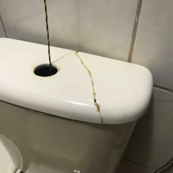 Gambiological toilet flush
