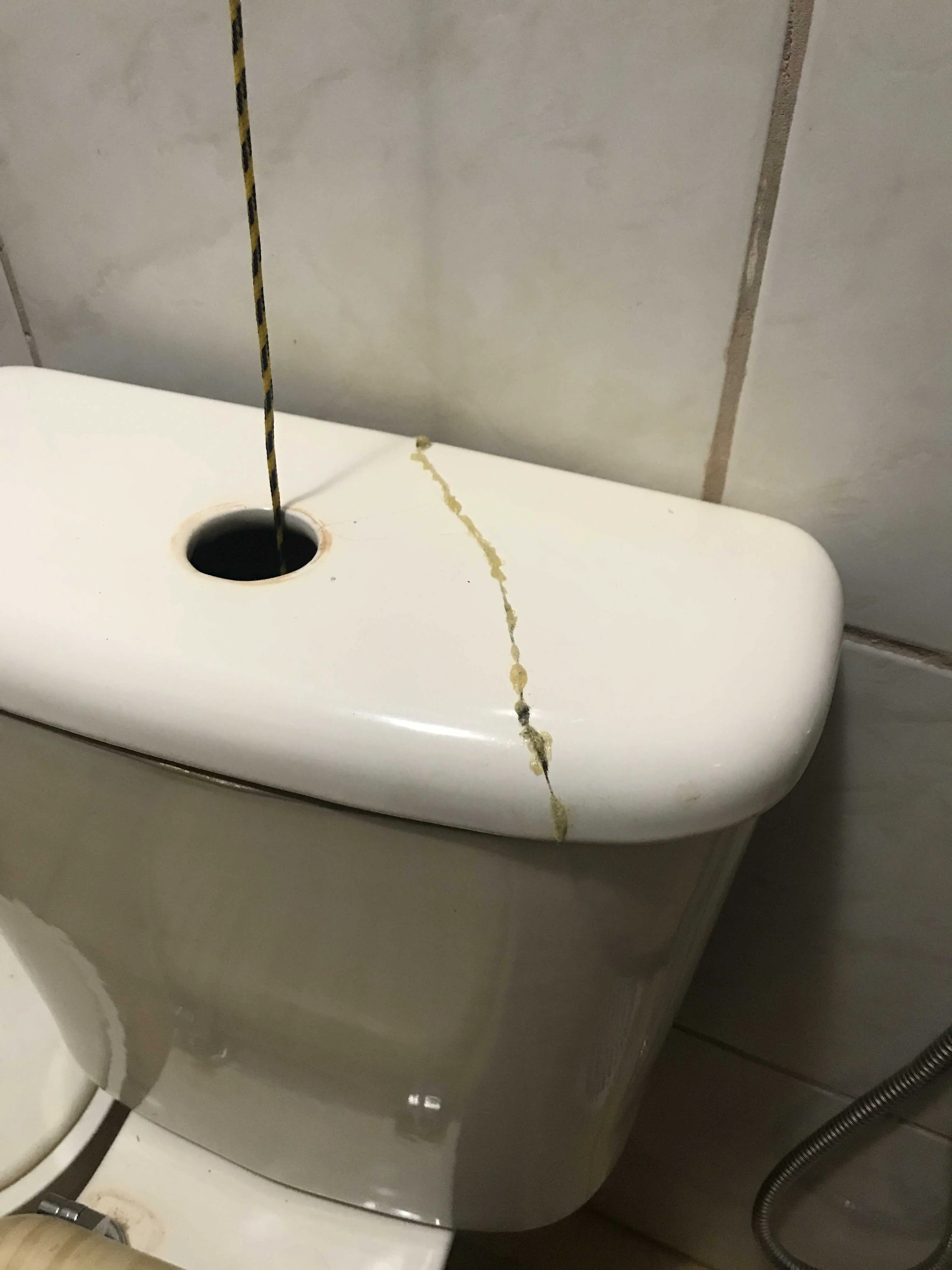 Gambiological toilet flush
