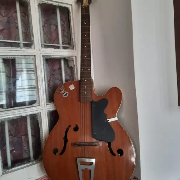 Guitar