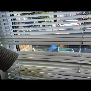 Hello everyone take a look through my window