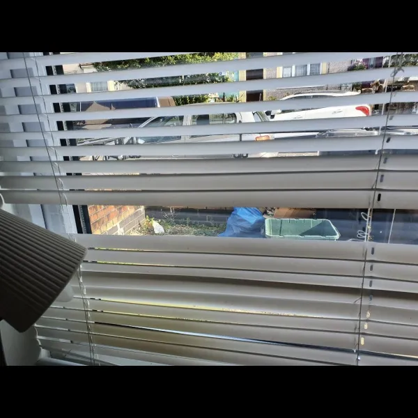 Hello everyone take a look through my window