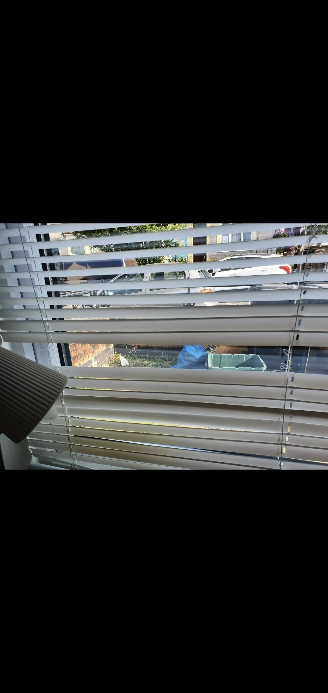 Hello everyone take a look through my window