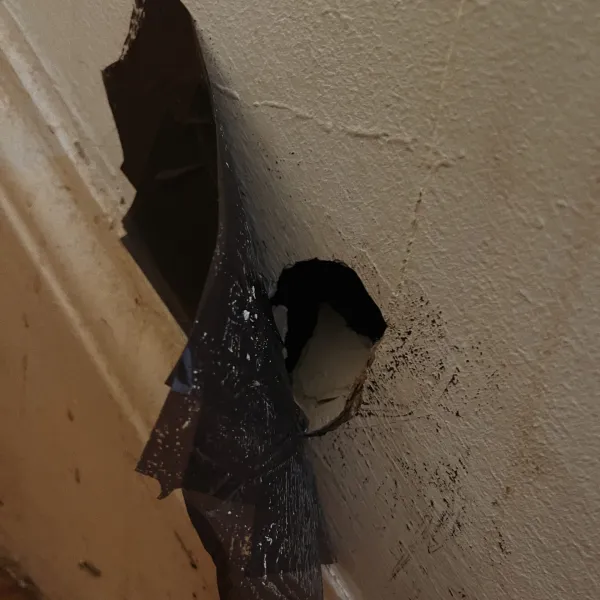 Hole in the Wall