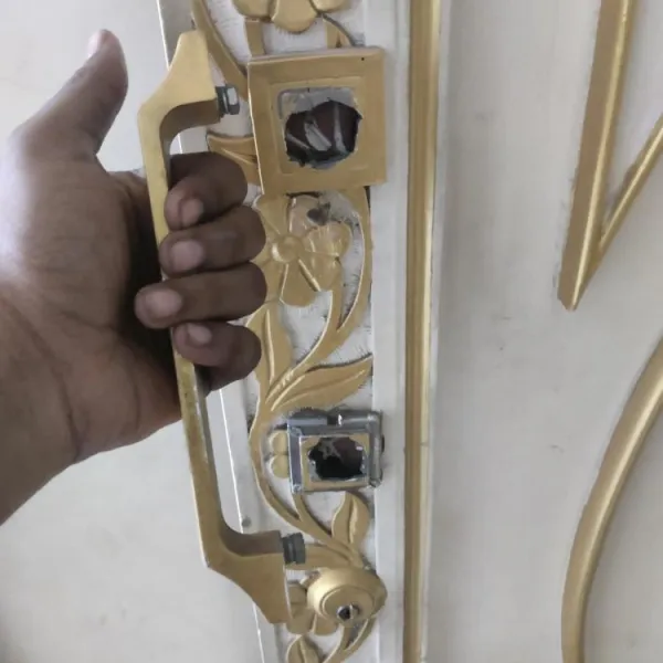 Main door handle