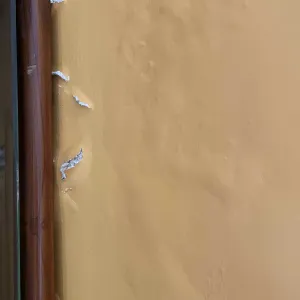 Peeling paint