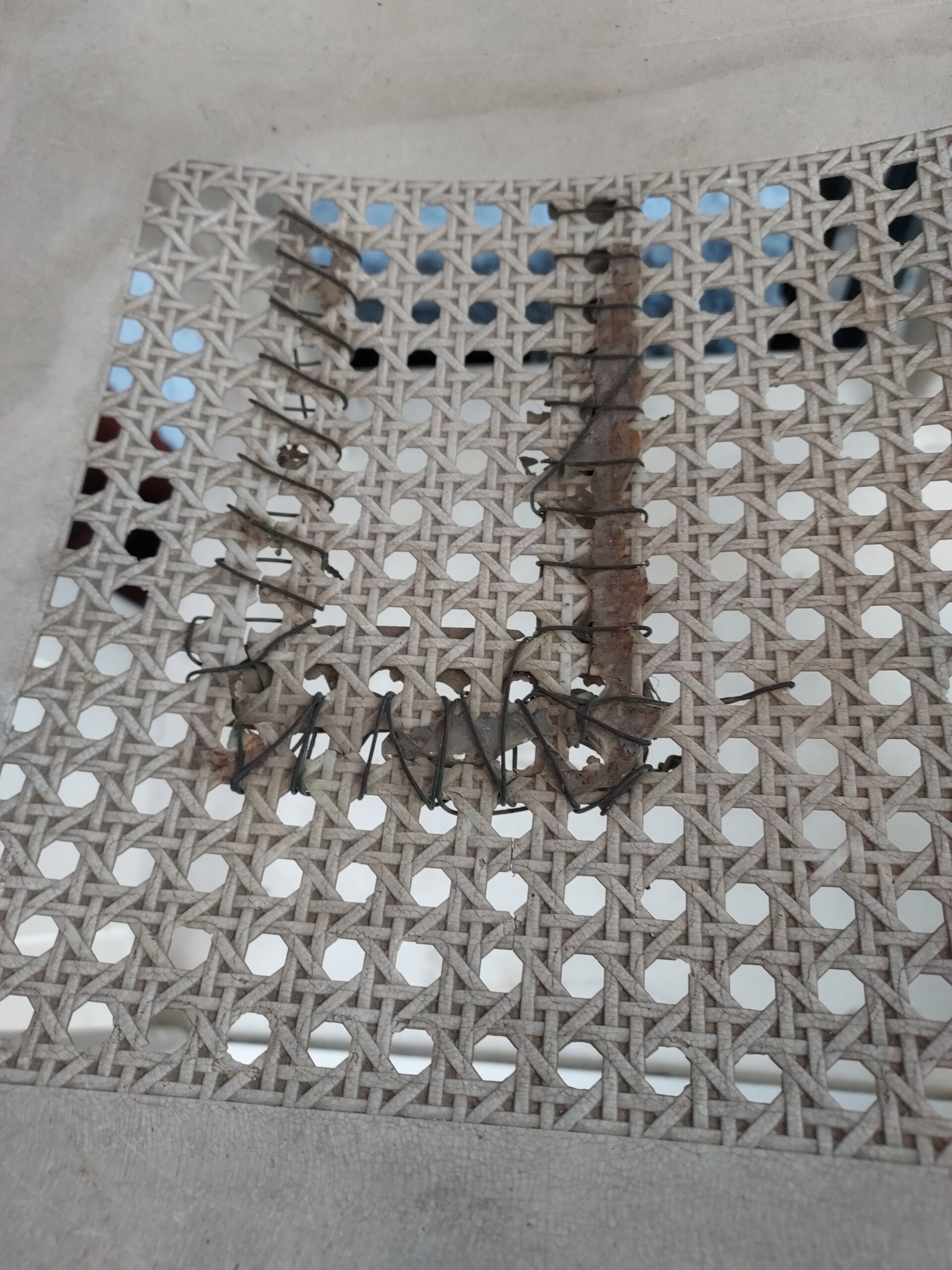 Plastic chair