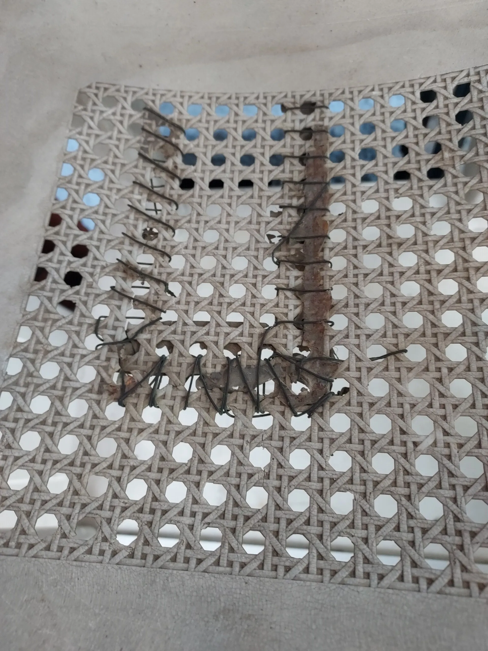 Plastic chair