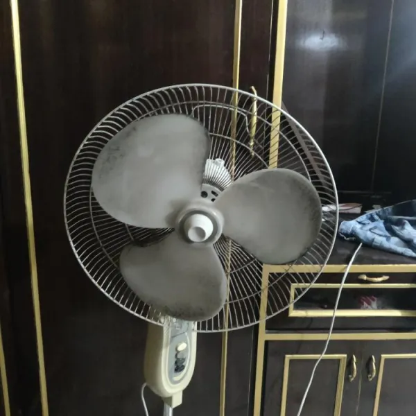 Portable fan