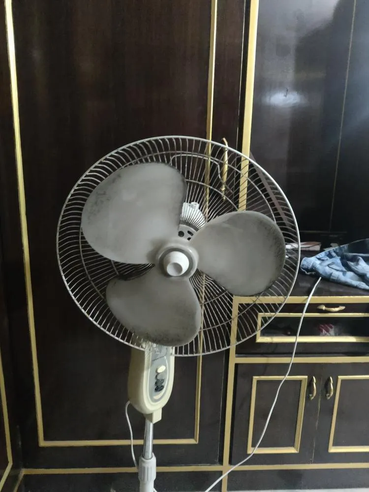 Portable fan
