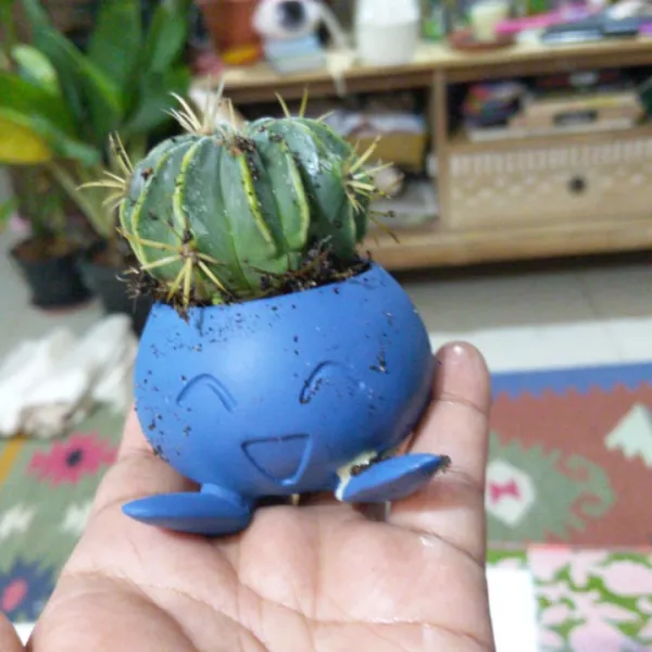 Flower pot