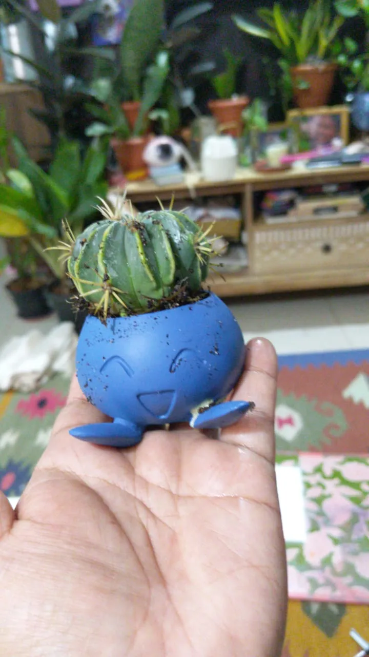 Flower pot
