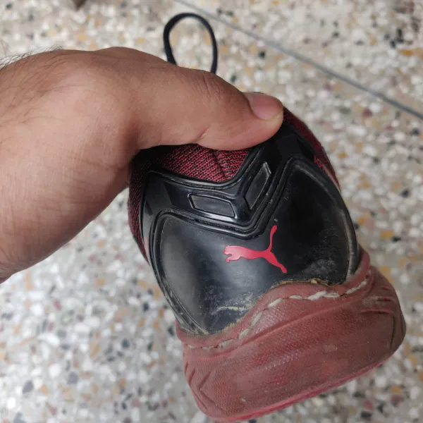 Shoe