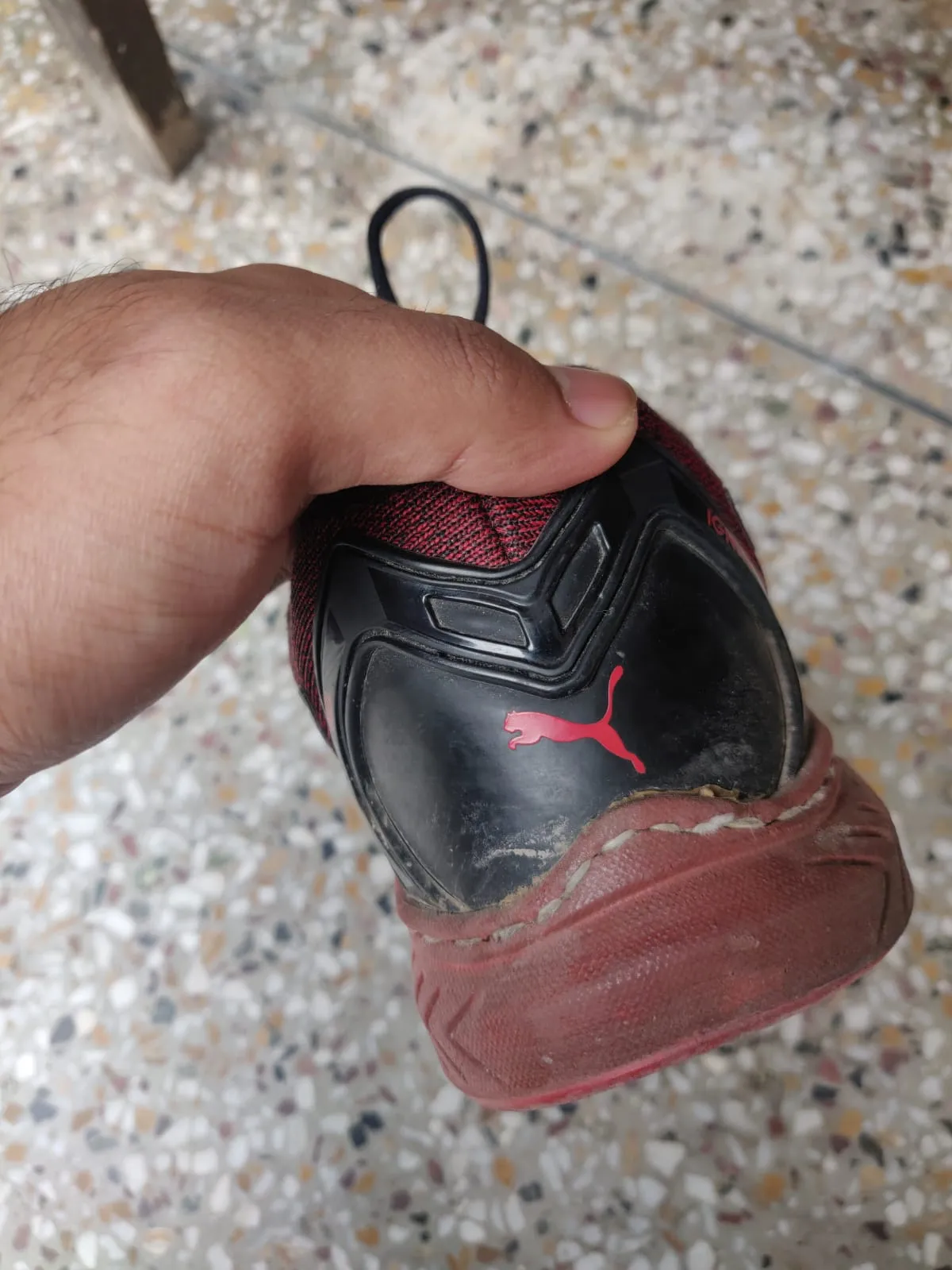 Shoe