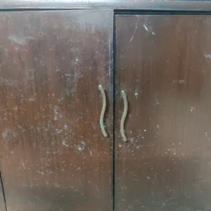 Shoe cupboard