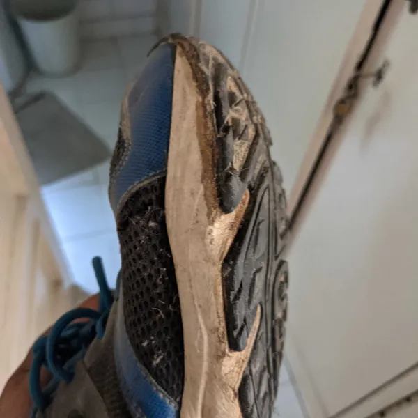 Shoe sole