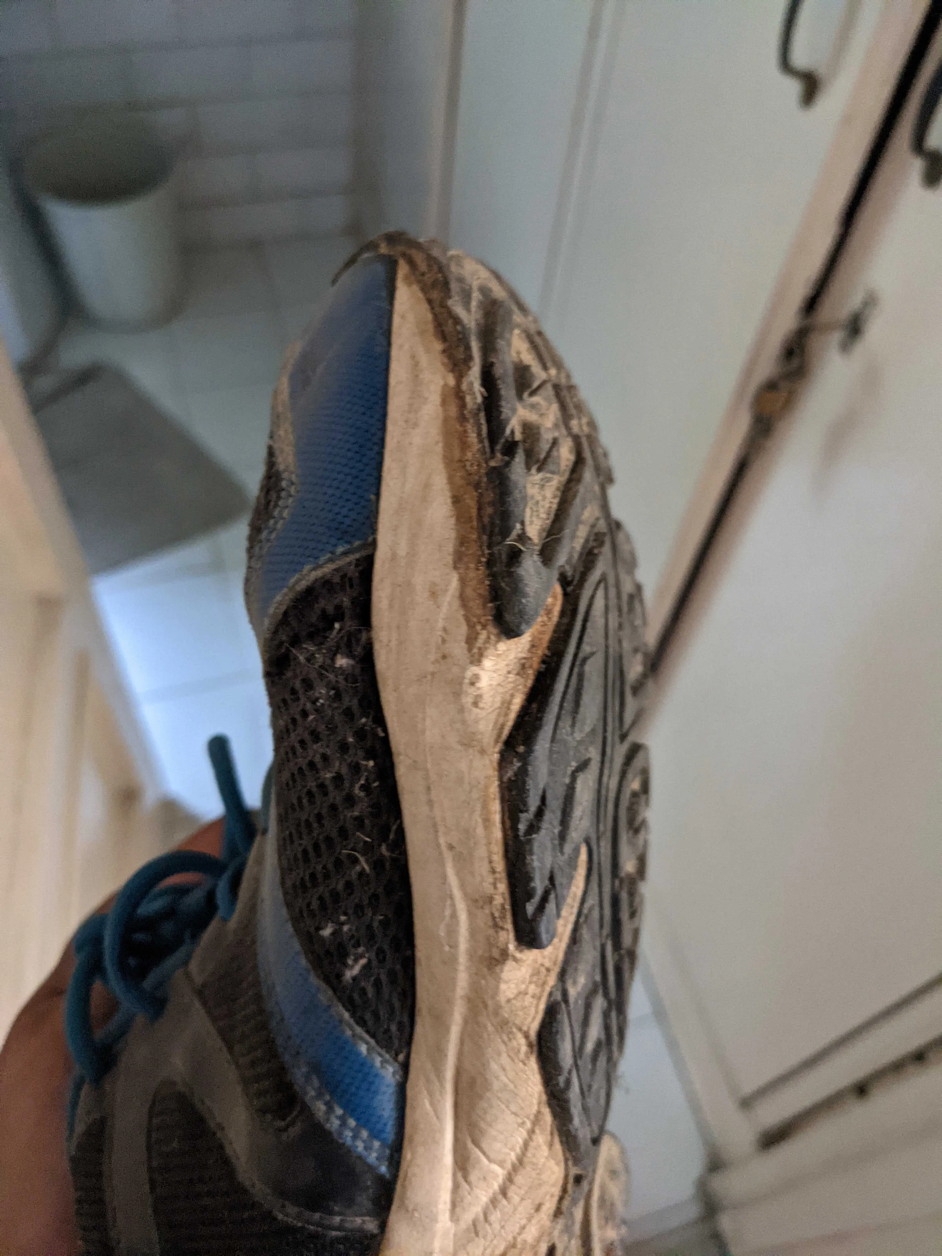 Shoe sole