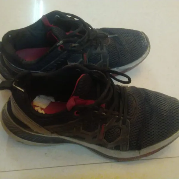 Shoe