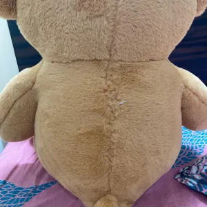 Soft toy torn