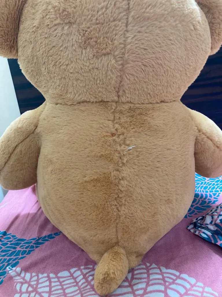 Soft toy torn