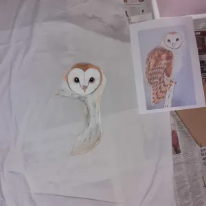Splodgy owl