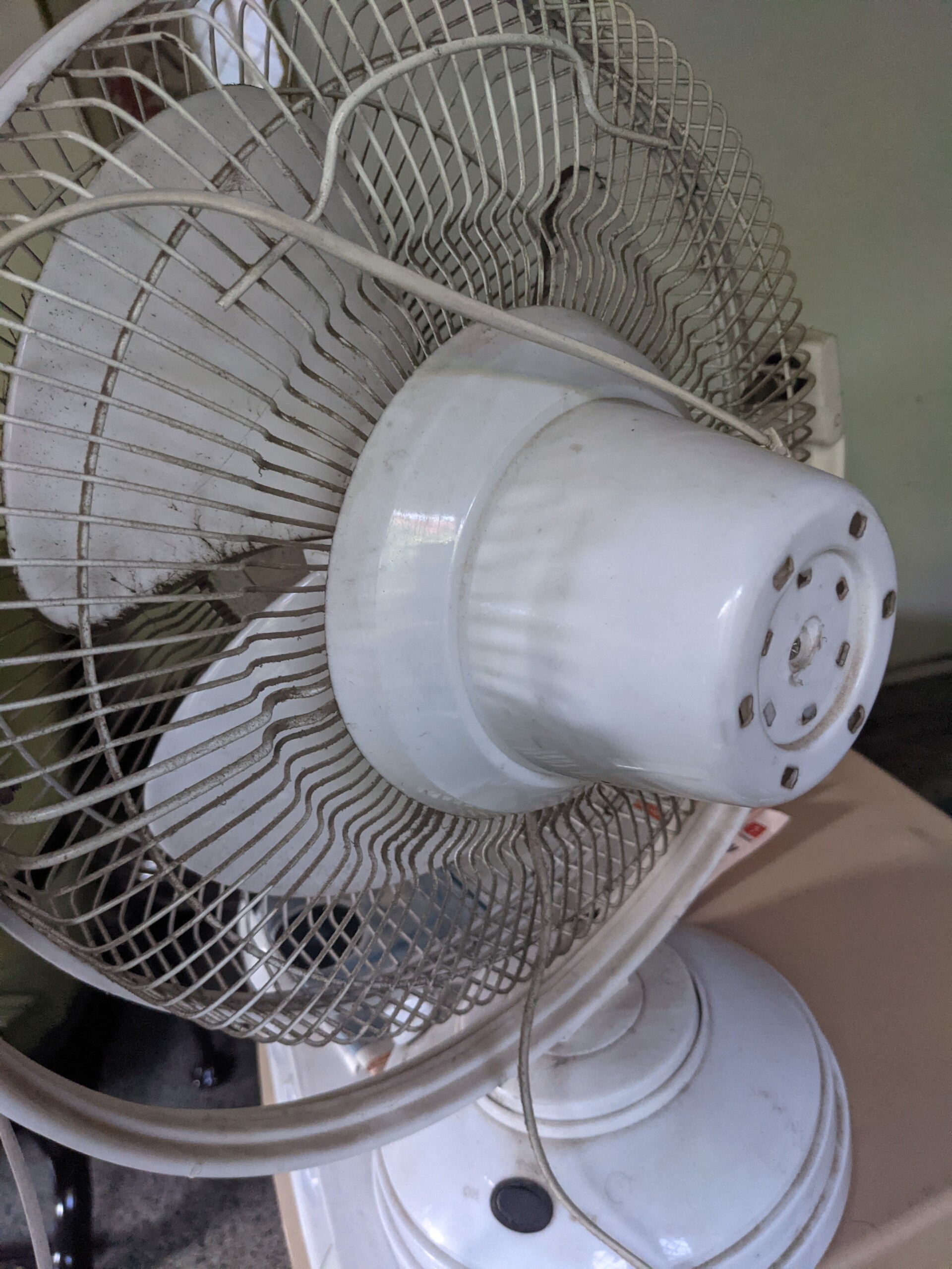 Table fan