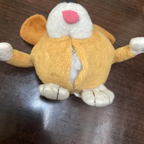 Teddy bear torn