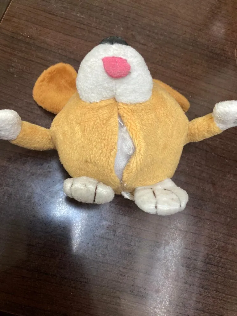 Teddy bear torn