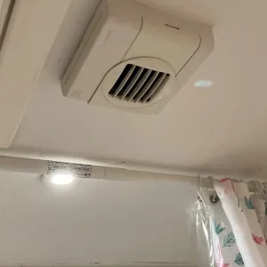 The 4 Year of MOULD