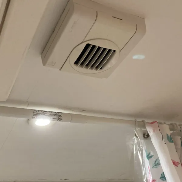 The 4 Year of MOULD