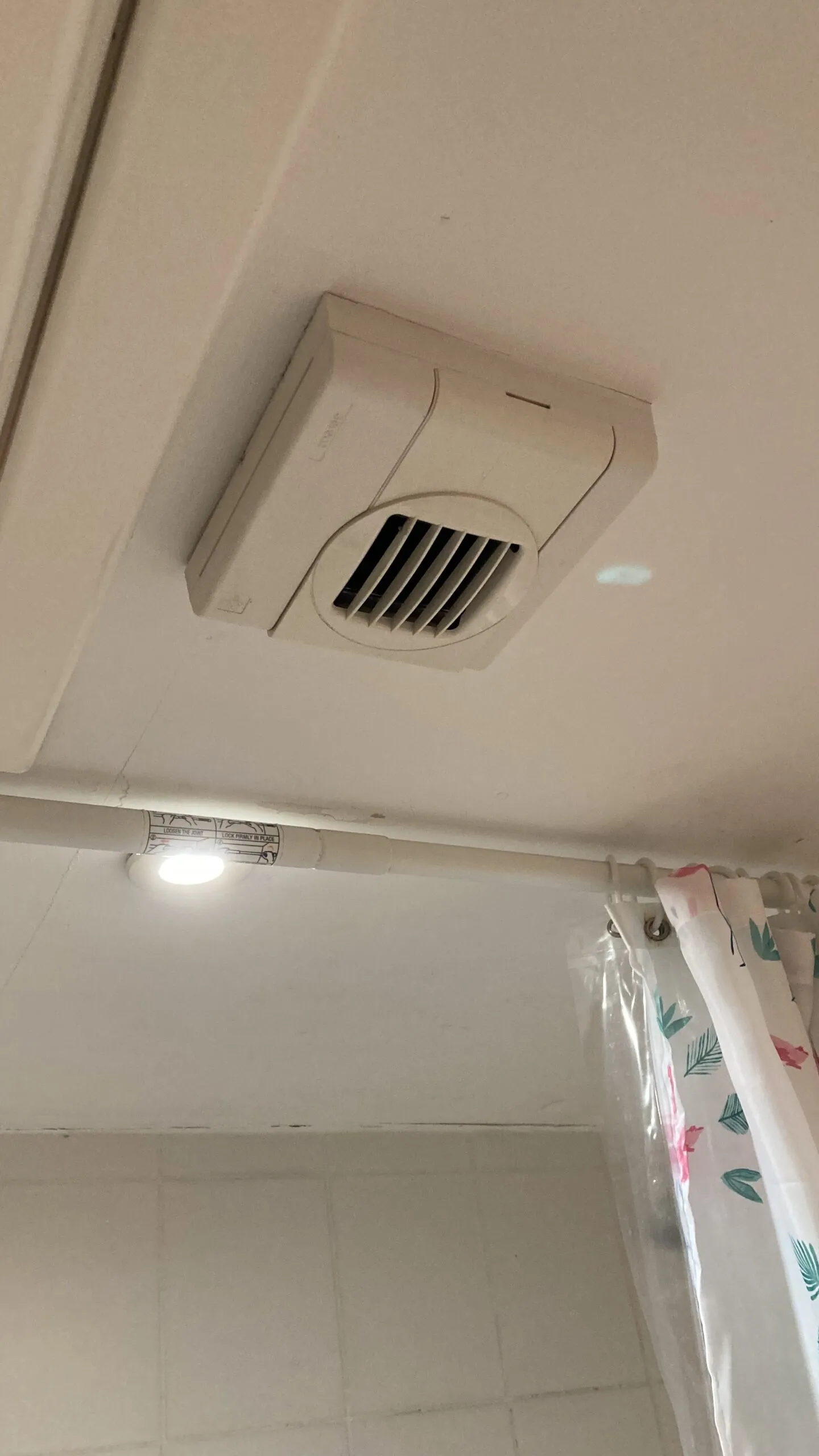 The 4 Year of MOULD